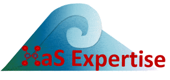 HaS Expertise Logo